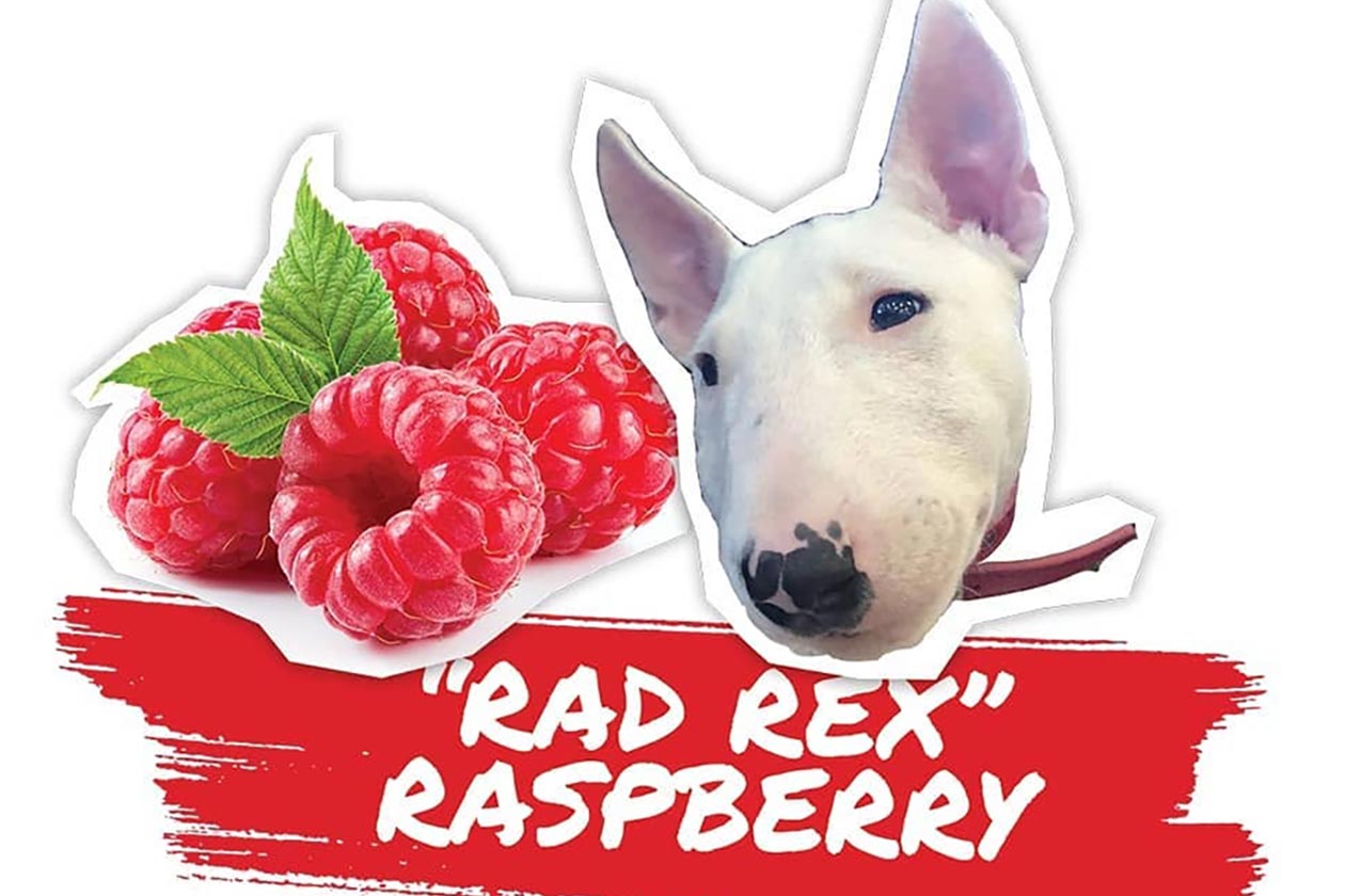 rad rex rasberry koala freak