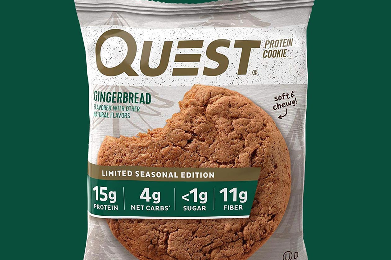 gingerbread quest cookie