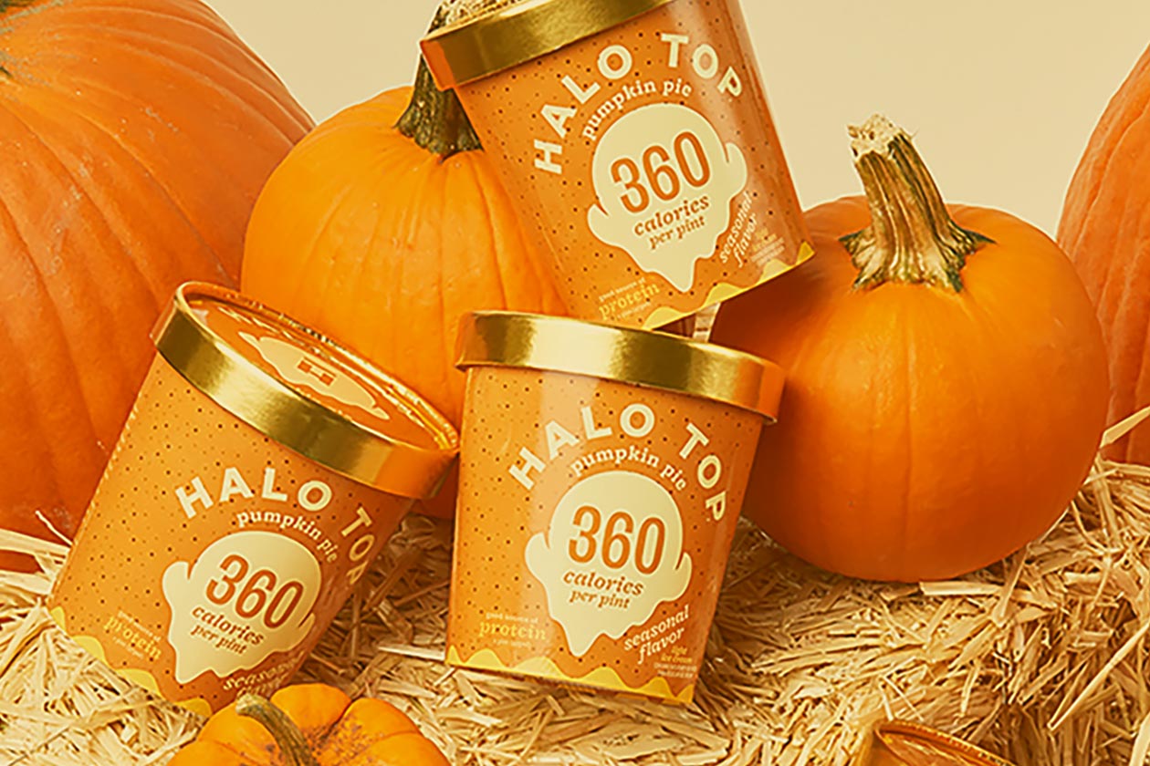 pumpkin pie halo top