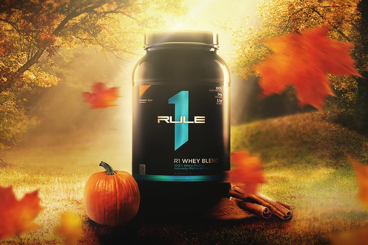 pumpkin spice r1 whey blend