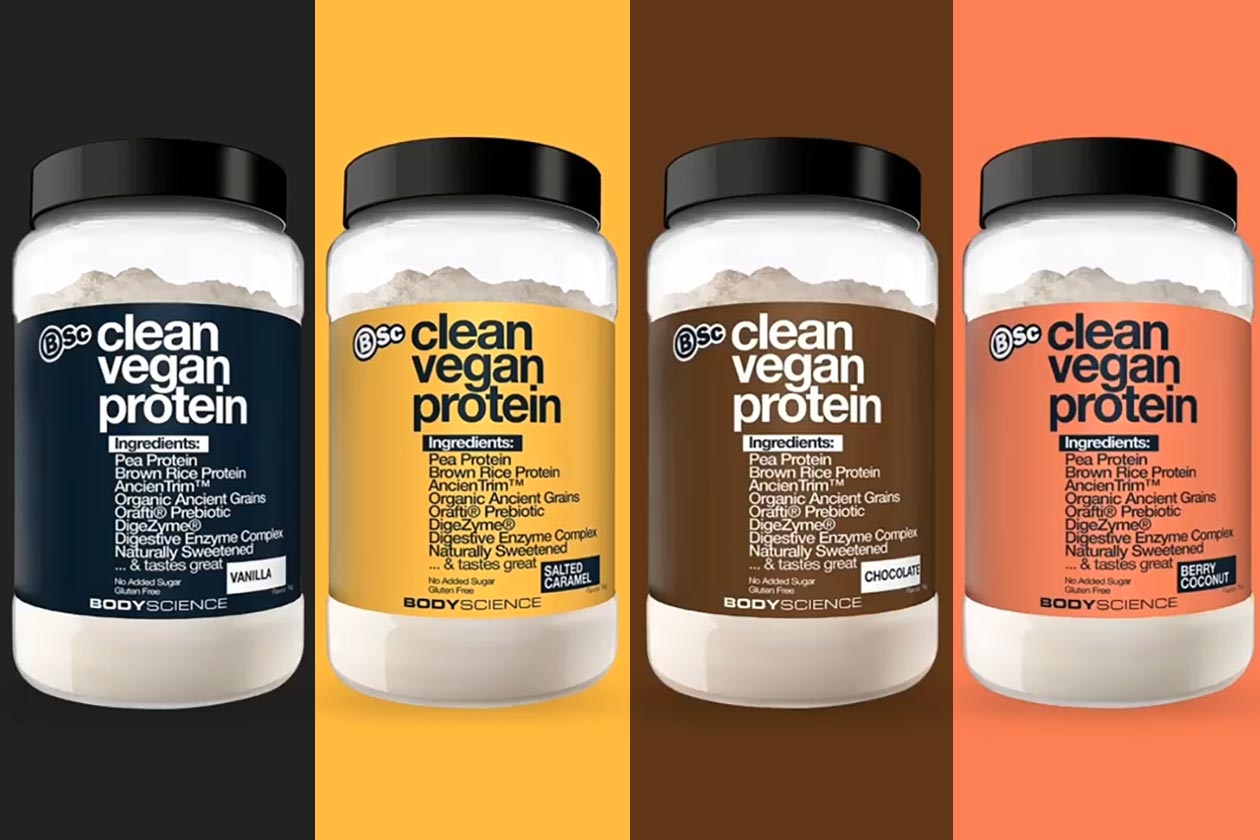 bsc clean vegan protein