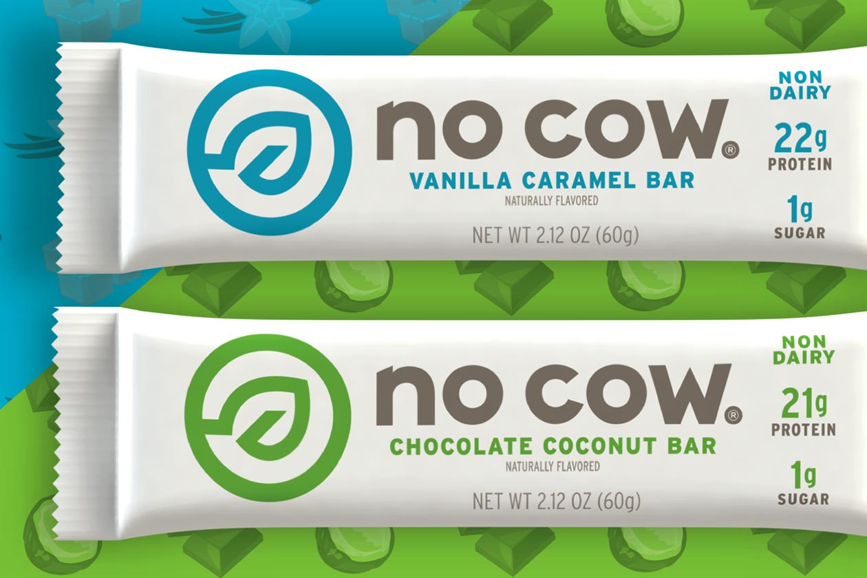 chocolate coconut no cow protein bar