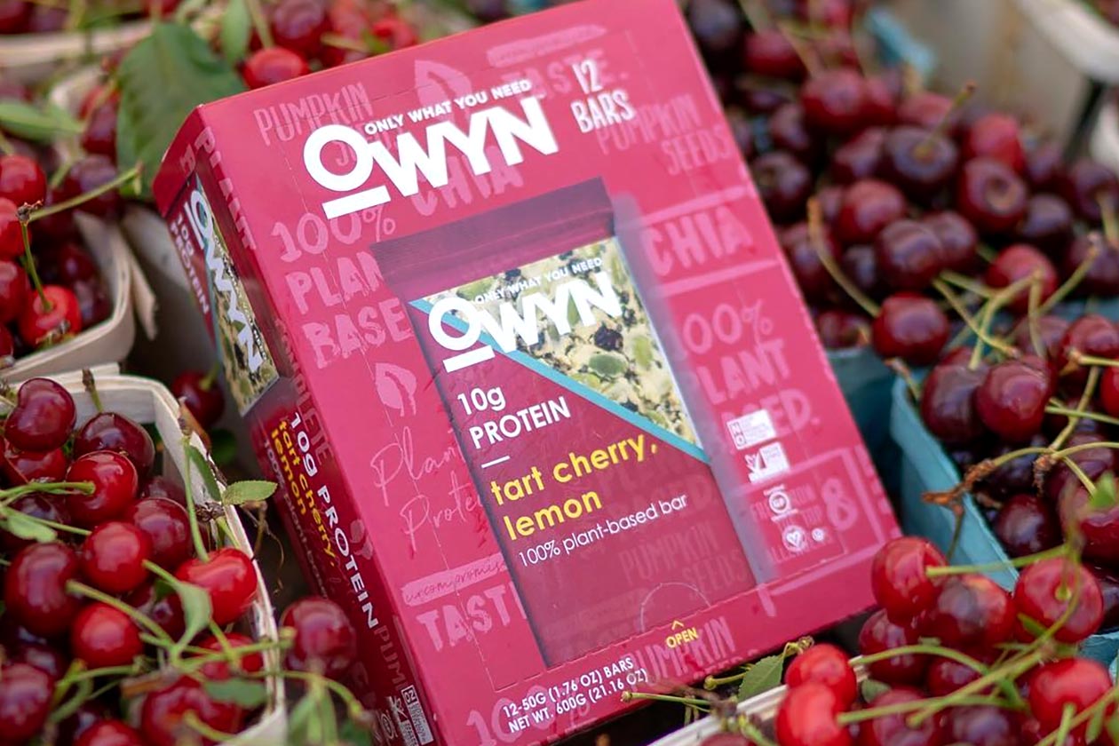 owyn protein bar