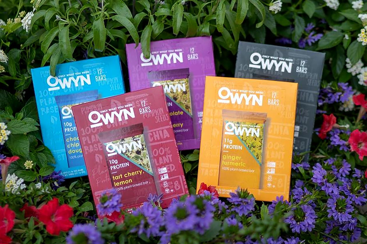 owyn protein bar