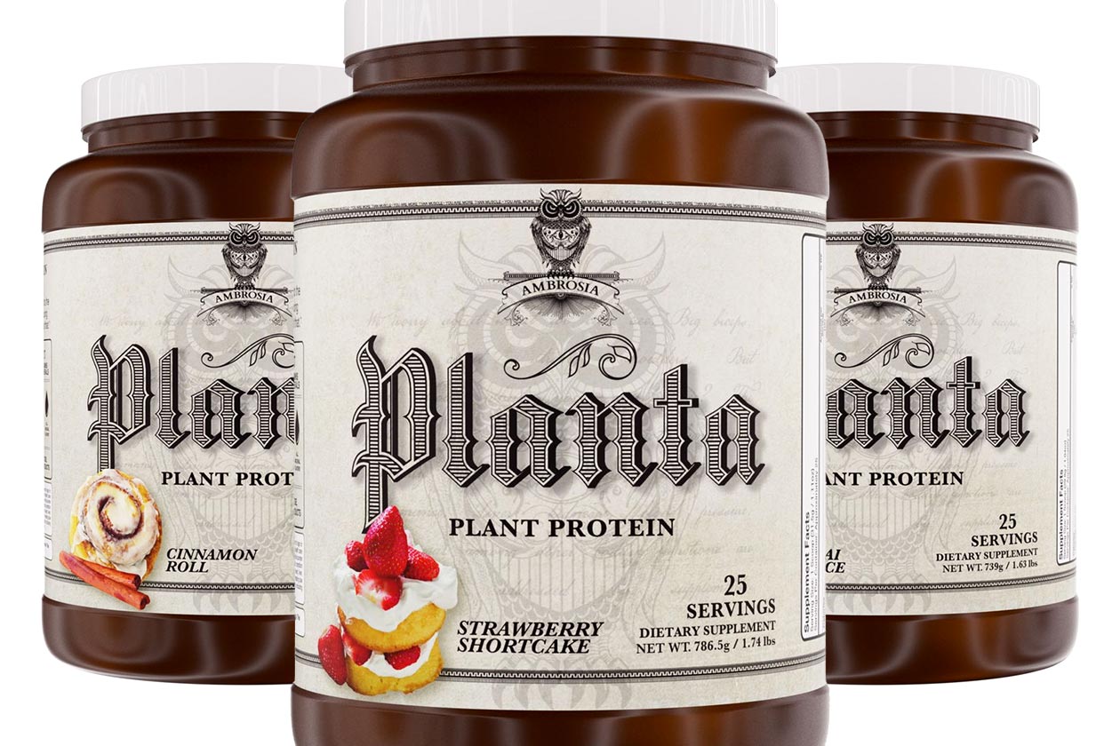 Image result for planta protein