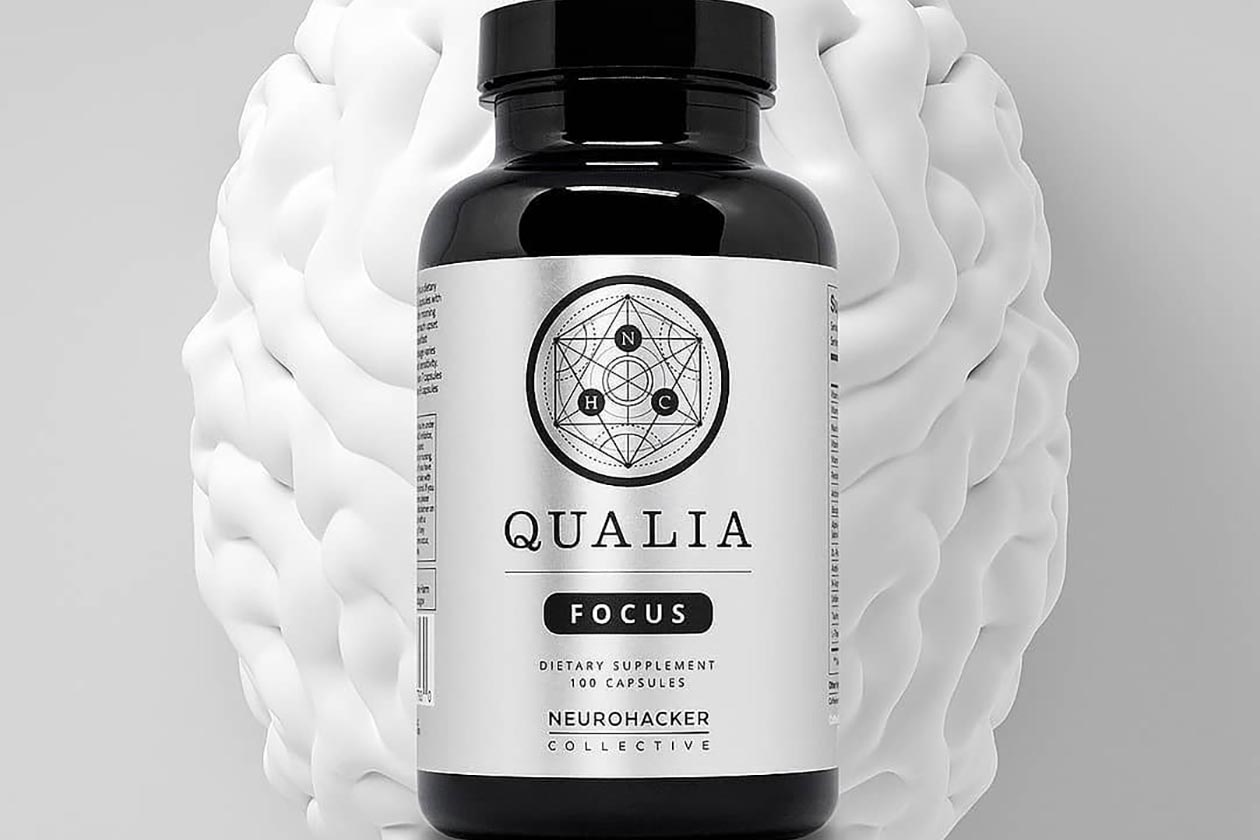 qualia focus