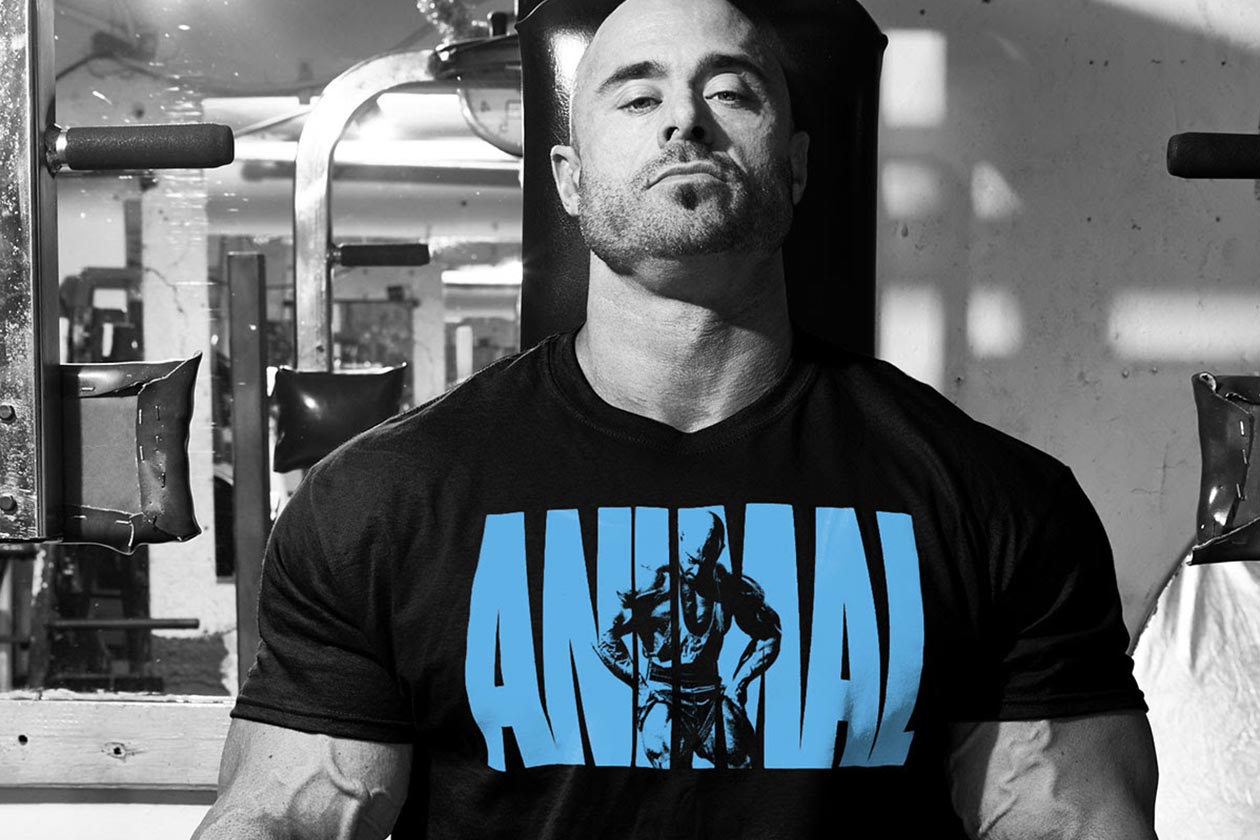 animal iconic tee frank mcgrath