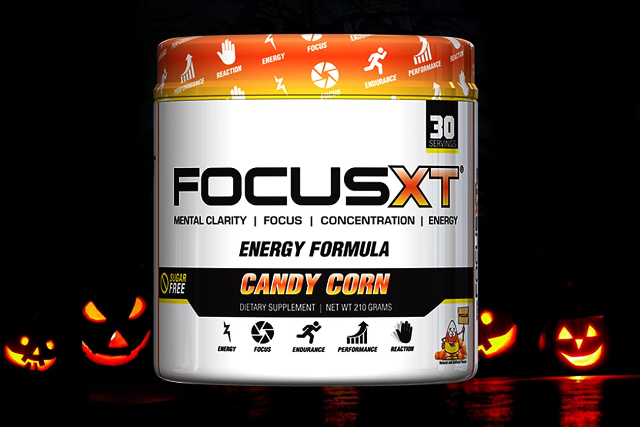 candy corn focus xt