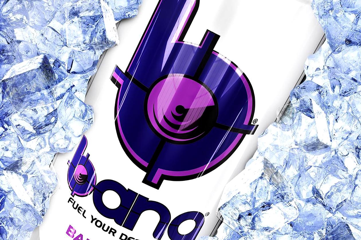 blackberry blaze bang