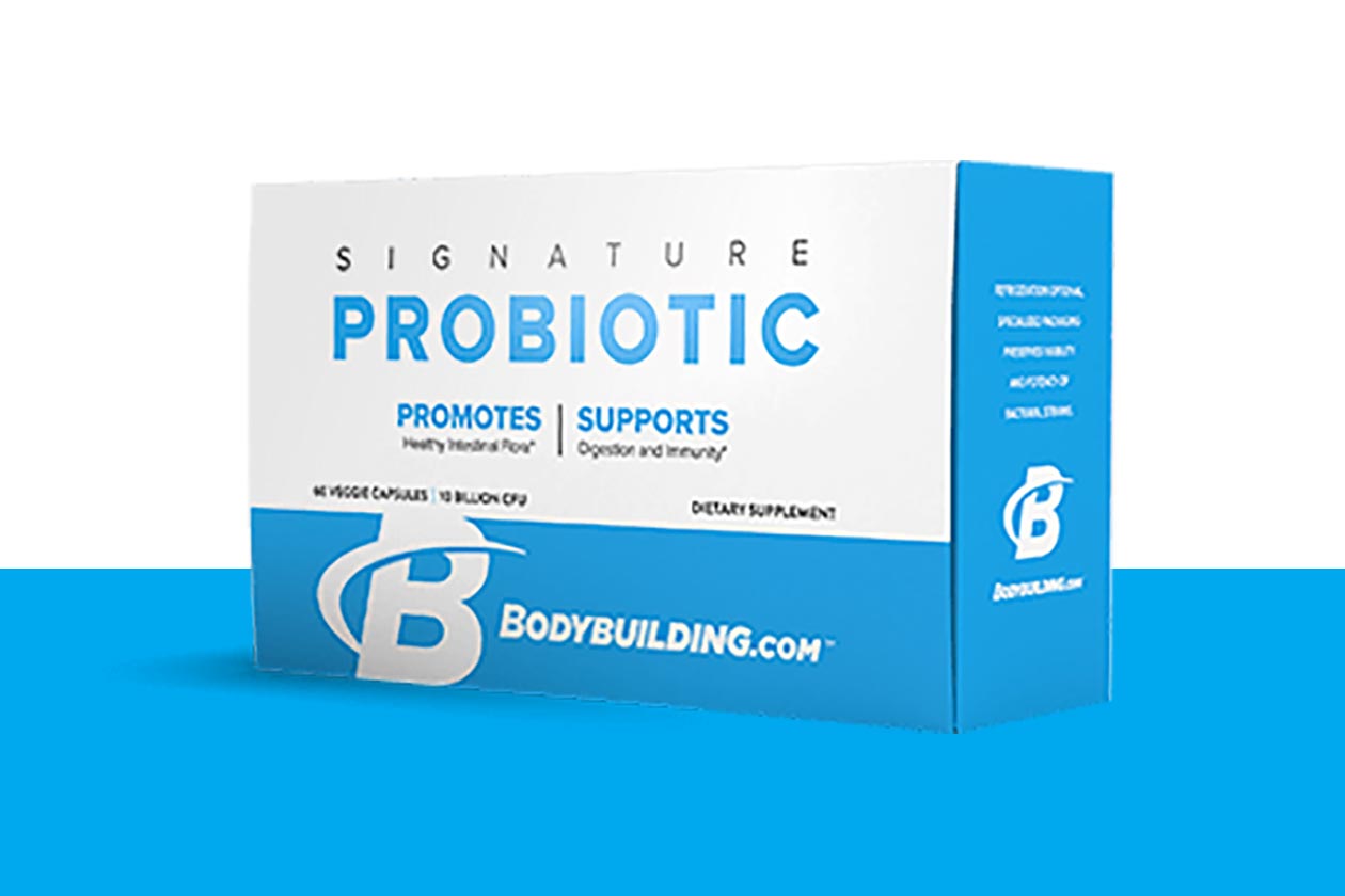 bodybuilding signature probiotic