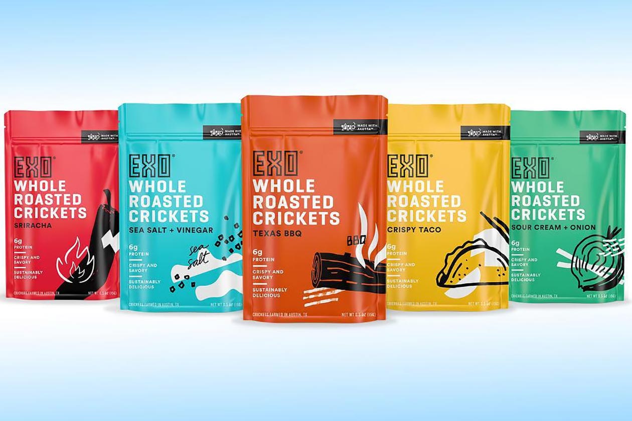 Introducing Exo And Its Family Of Snacks Powered By Cricket Protein