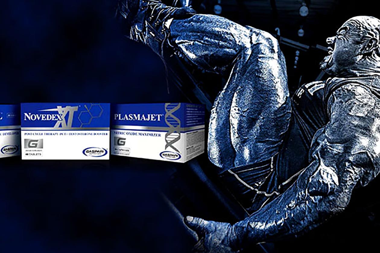 gaspari novedex