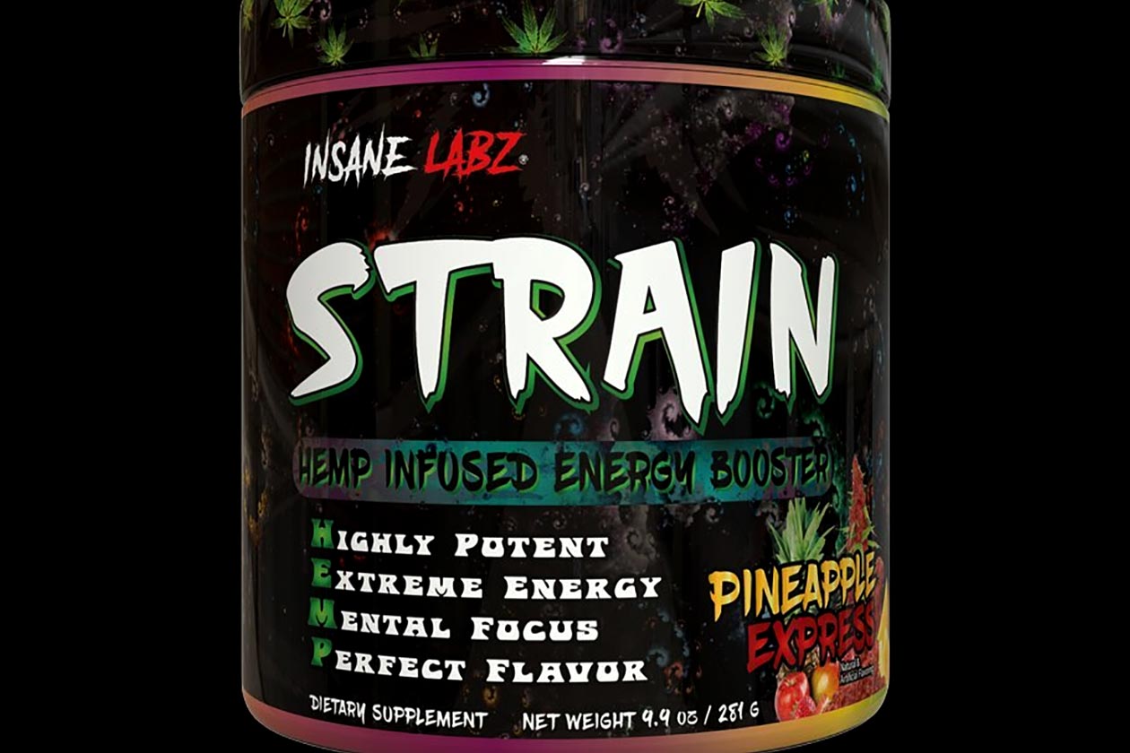 insane labz strain