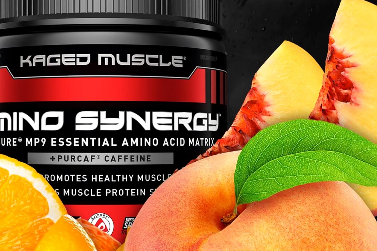 amino synergy