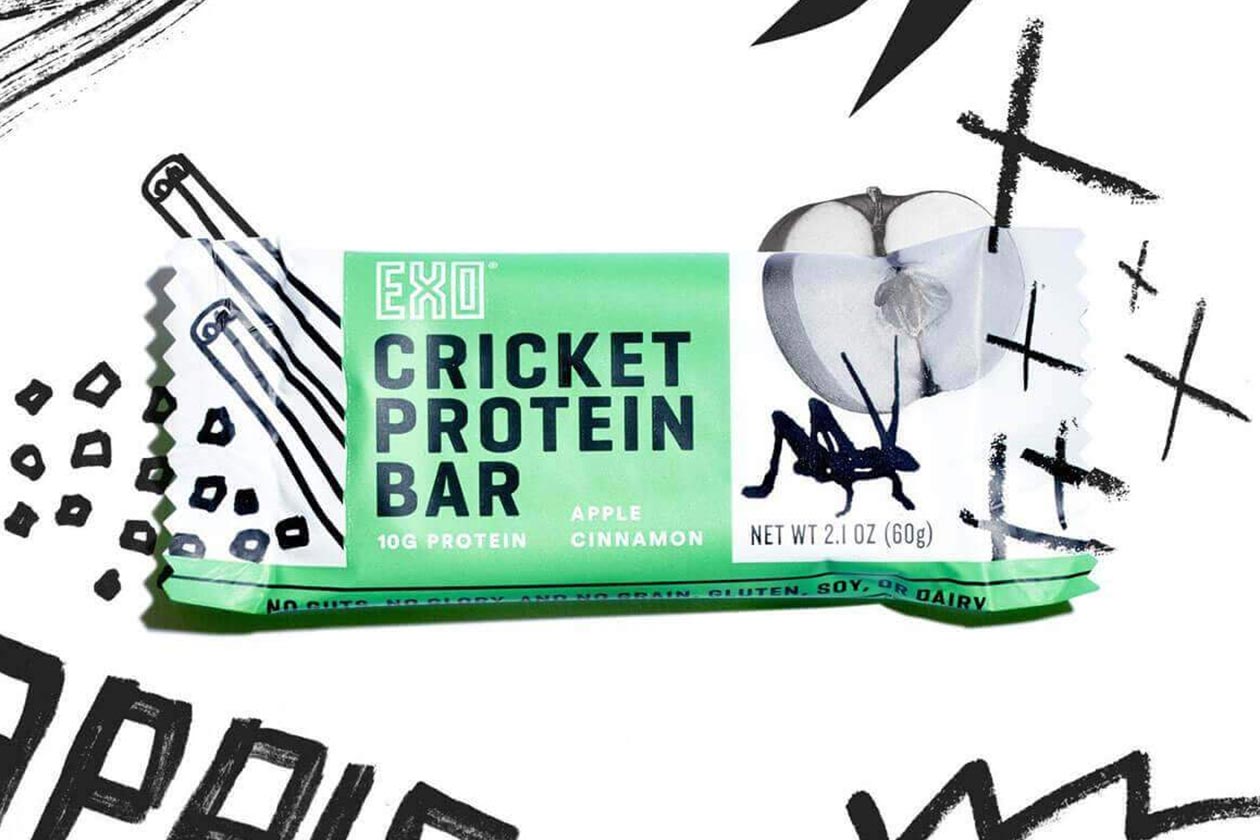 apple cinnamon exo protein bar