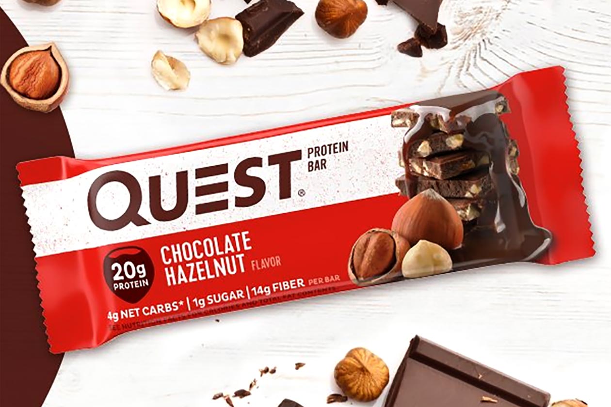 chocolate hazelnut quest bar