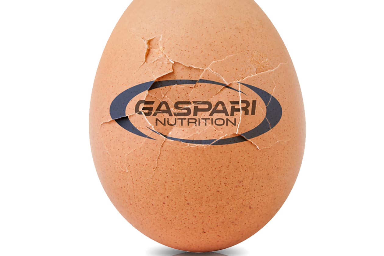 gaspari nutrition egg protein