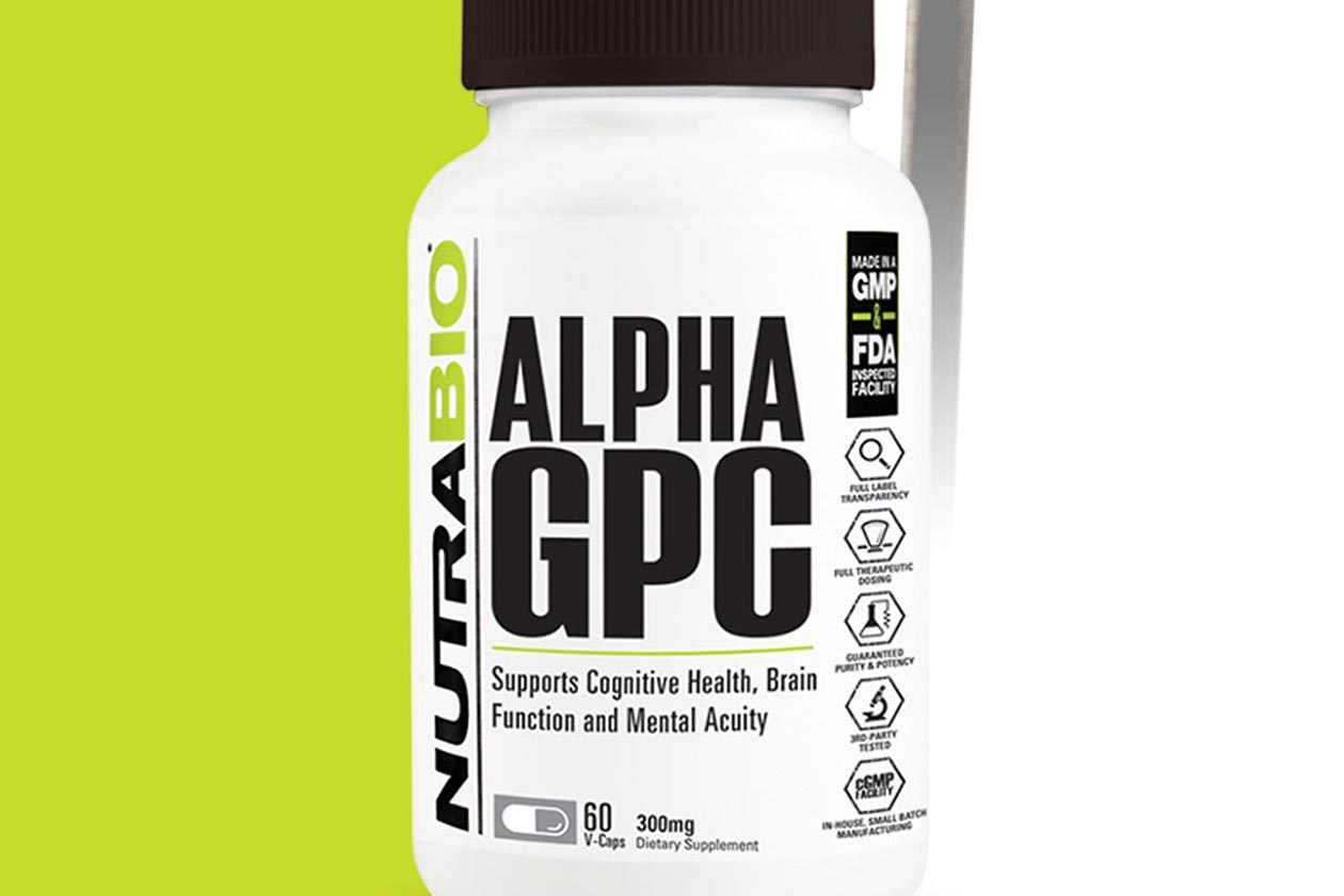 nutrabio alpha gpc