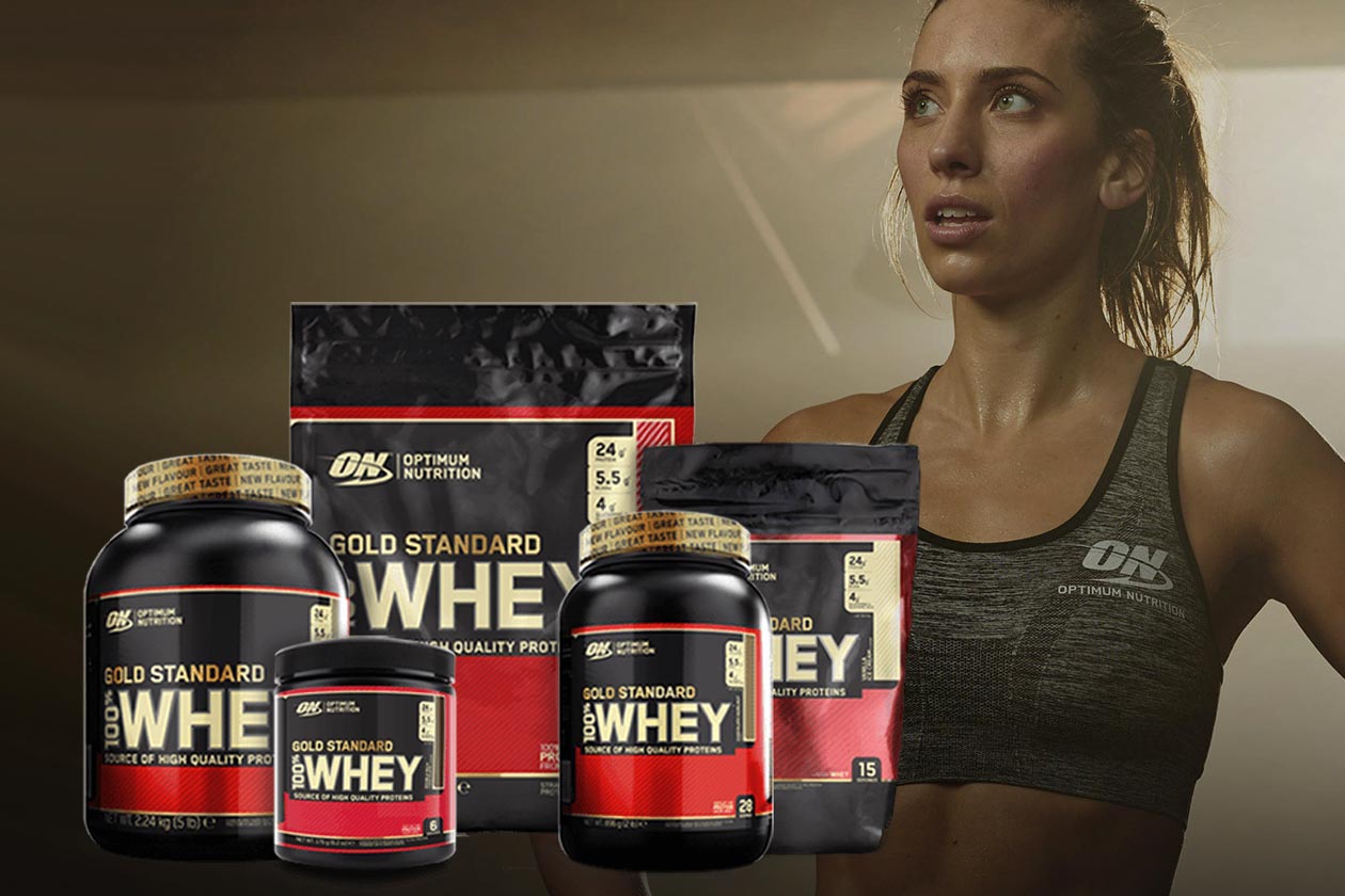 optimum nutrition gold standard gym promotion