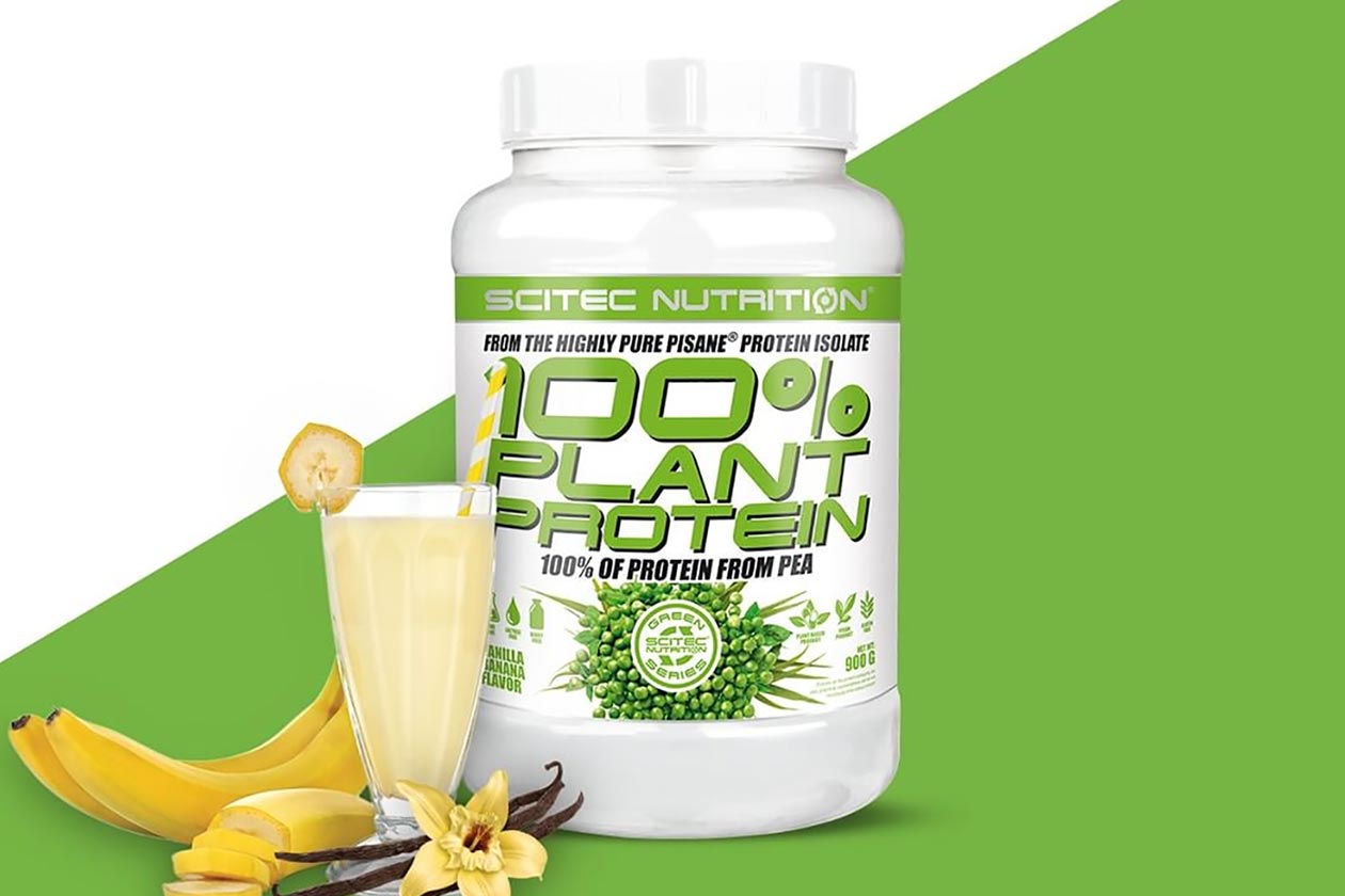 vanilla banana scitec plant protein