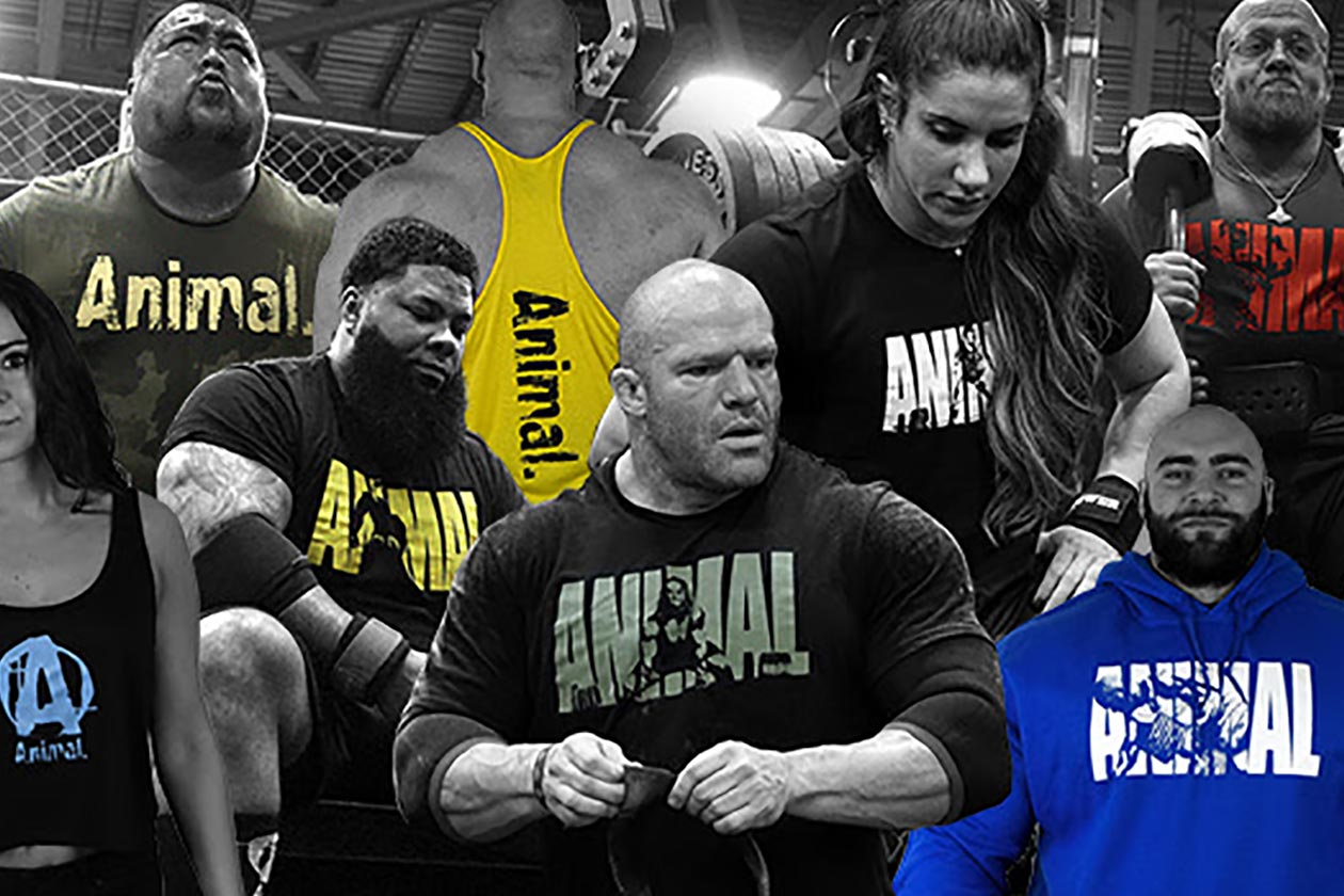 arnold classic animal clothing