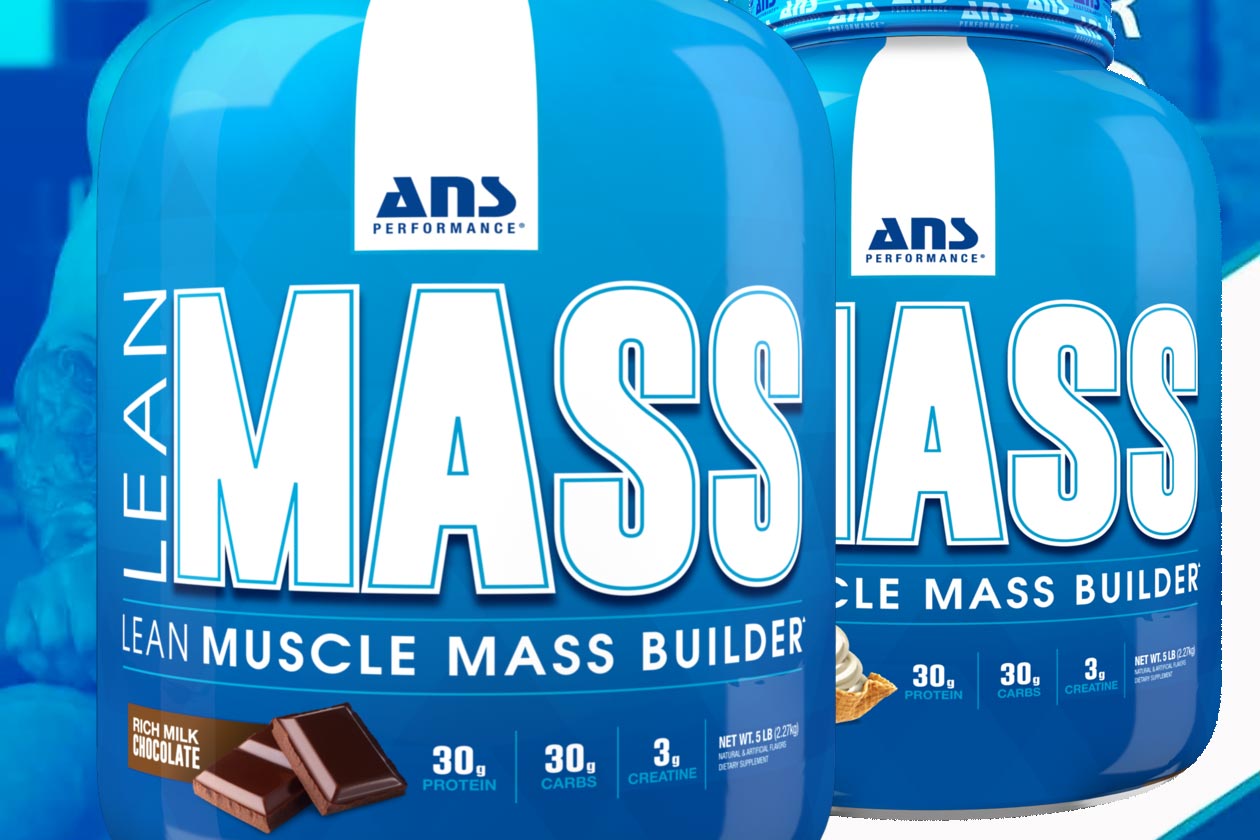 ans lean mass