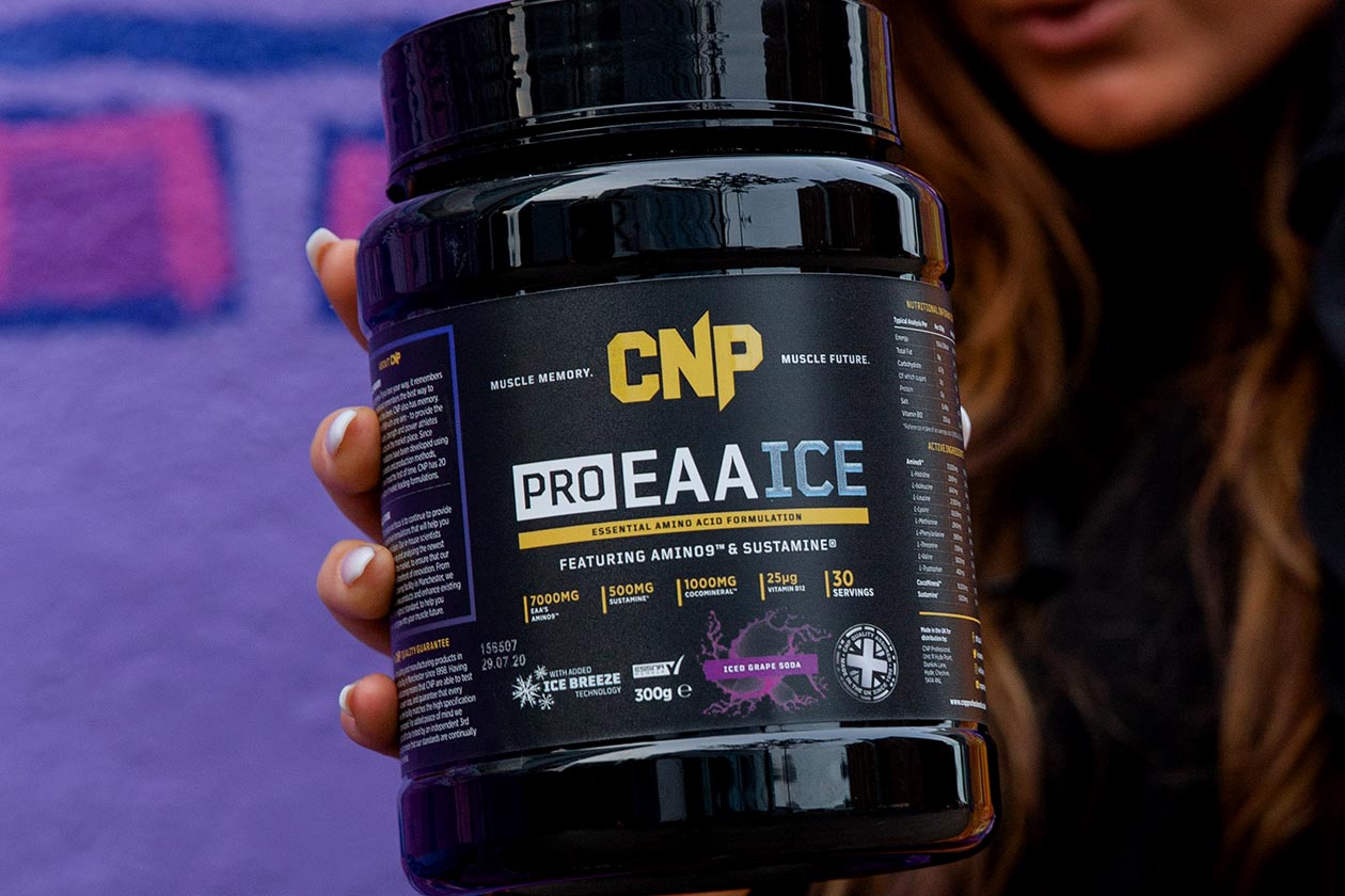 cnp pro eaa ice