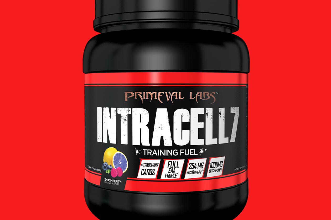 intracell 7 black