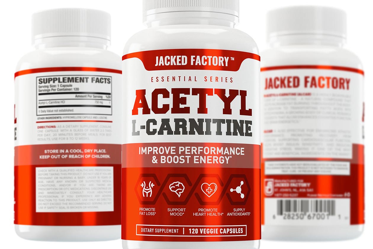 jacked factory Acetyl L-Carnitine