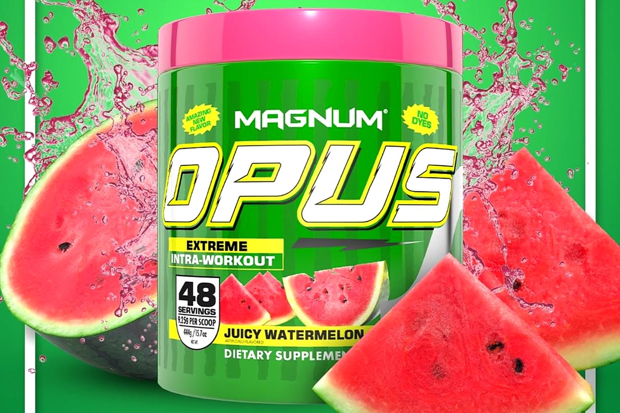 juicy watermelon magnum opus