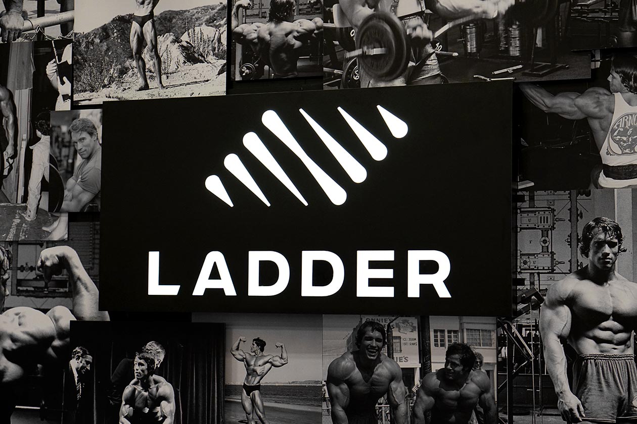 ladder arnold classic