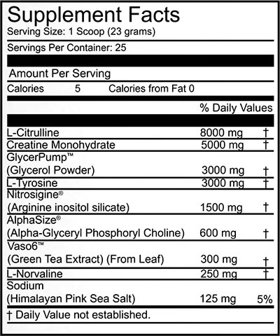 peak performance labs nuclear pump