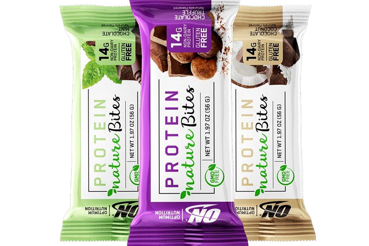 optimum nutrition protein nature bites