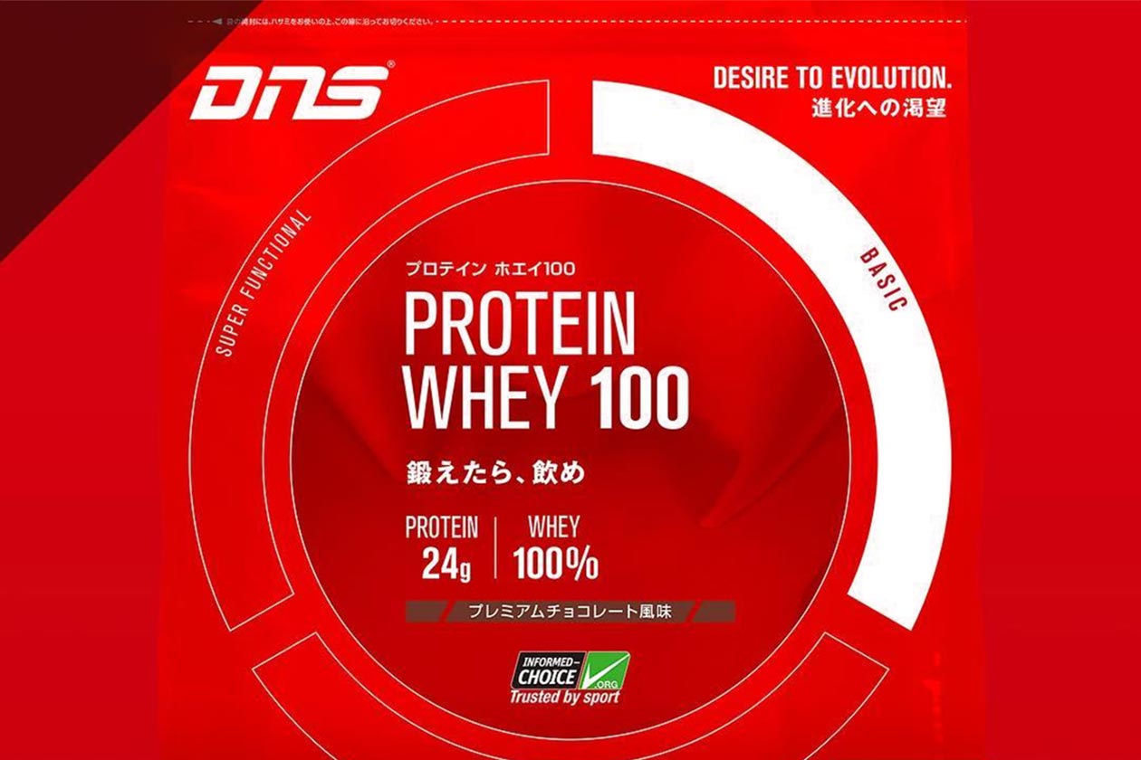 dns protein whey 100