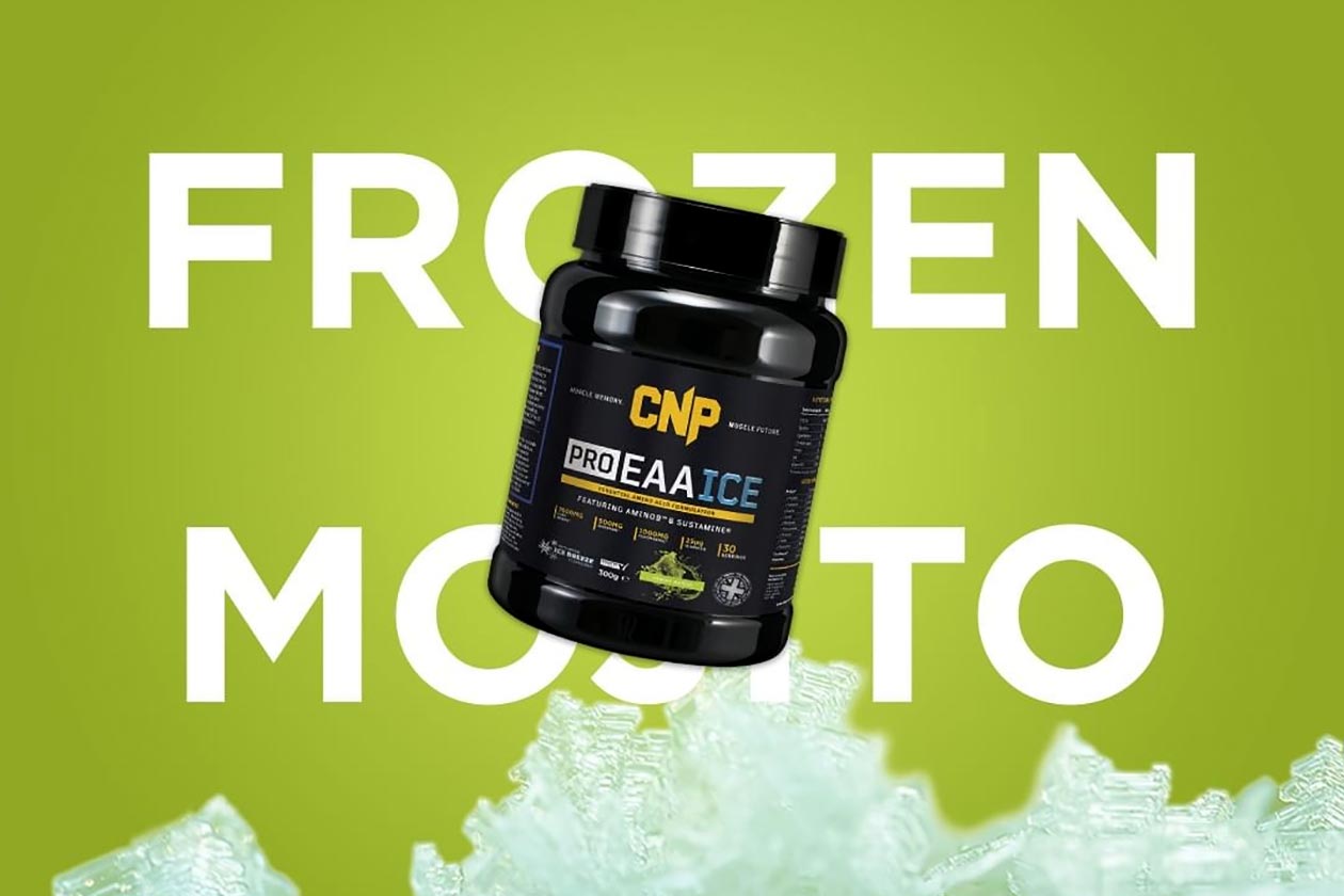 frozen mojito cnp eaa ice