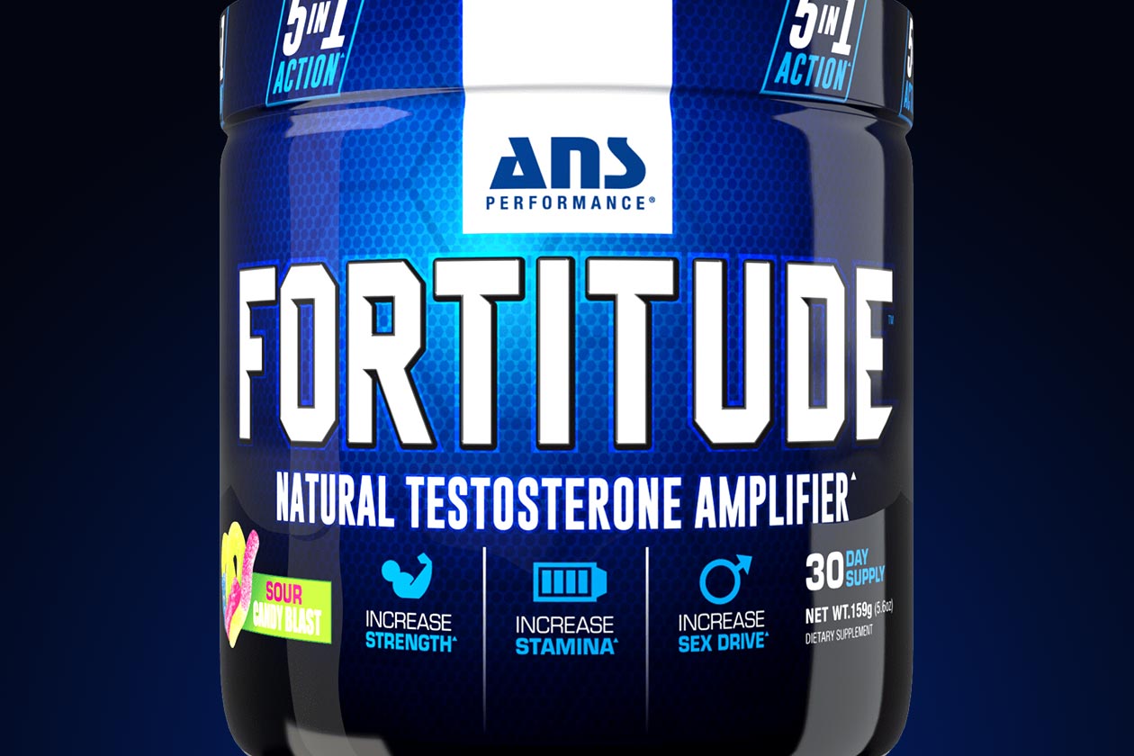 ans performance fortitude powder
