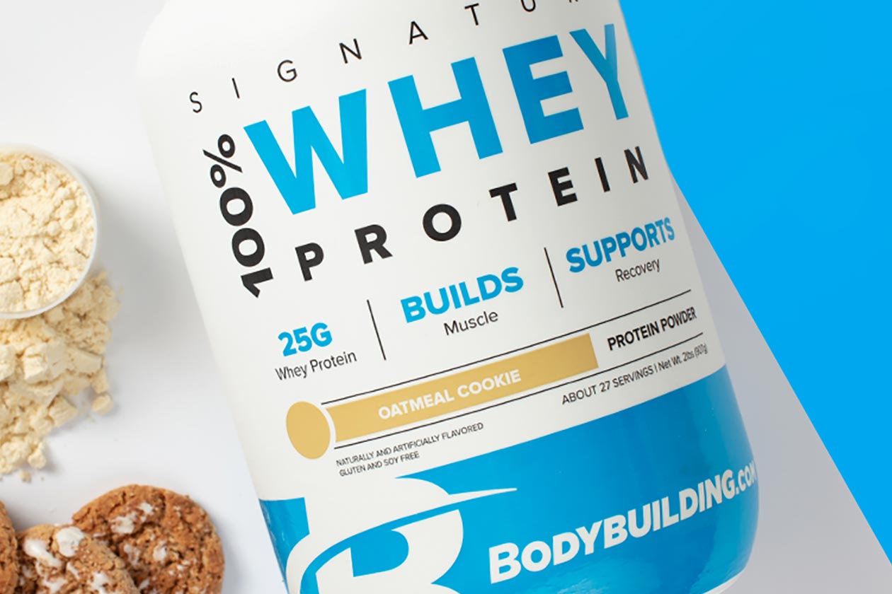 bodybuilding signature oatmeal cookie protein