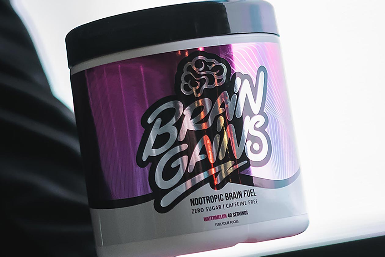 brain gains supplement