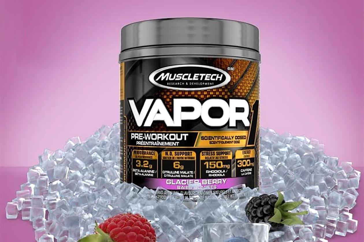 glacier berry vapor one