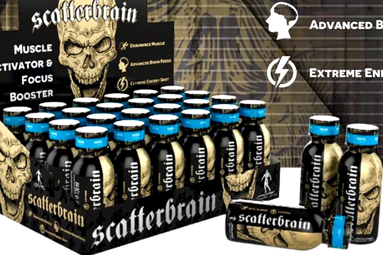  Scatterbrain pre workout review for Workout Today