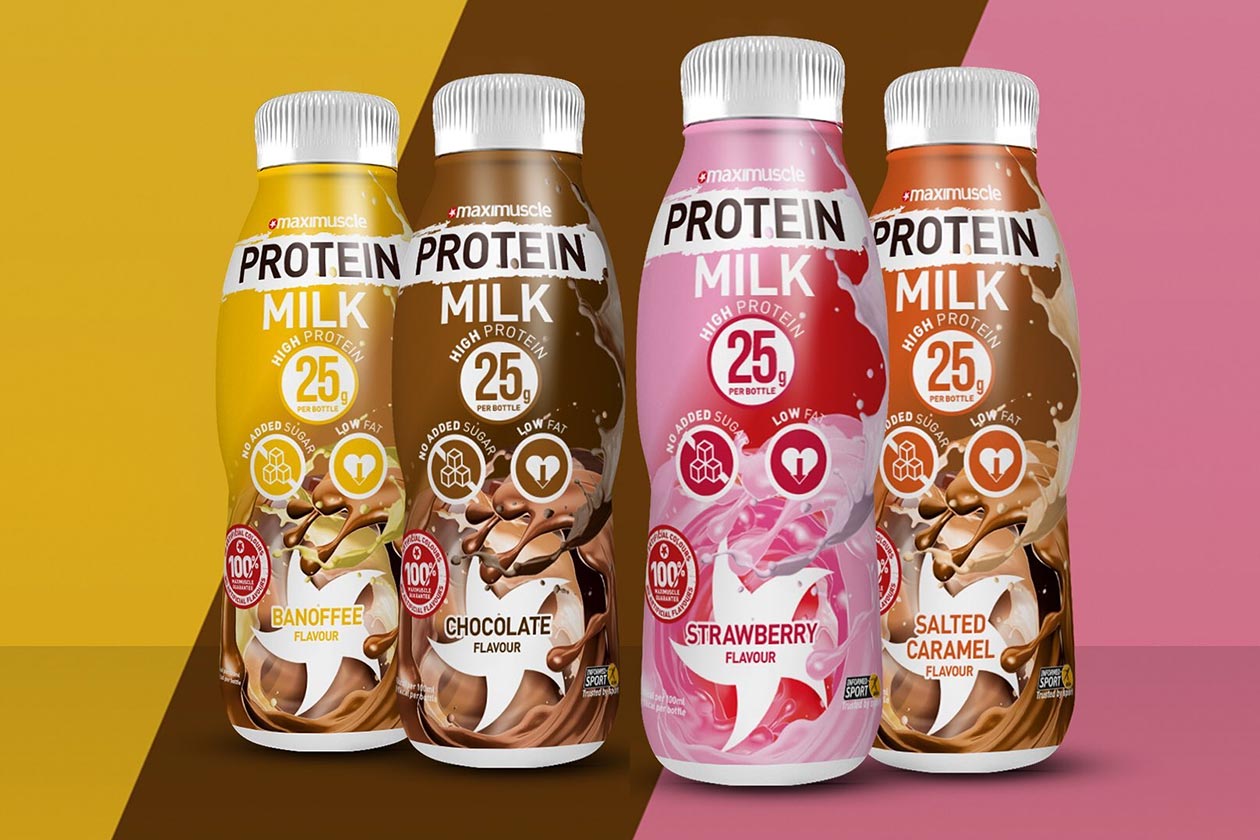 maxi muscle protein milk