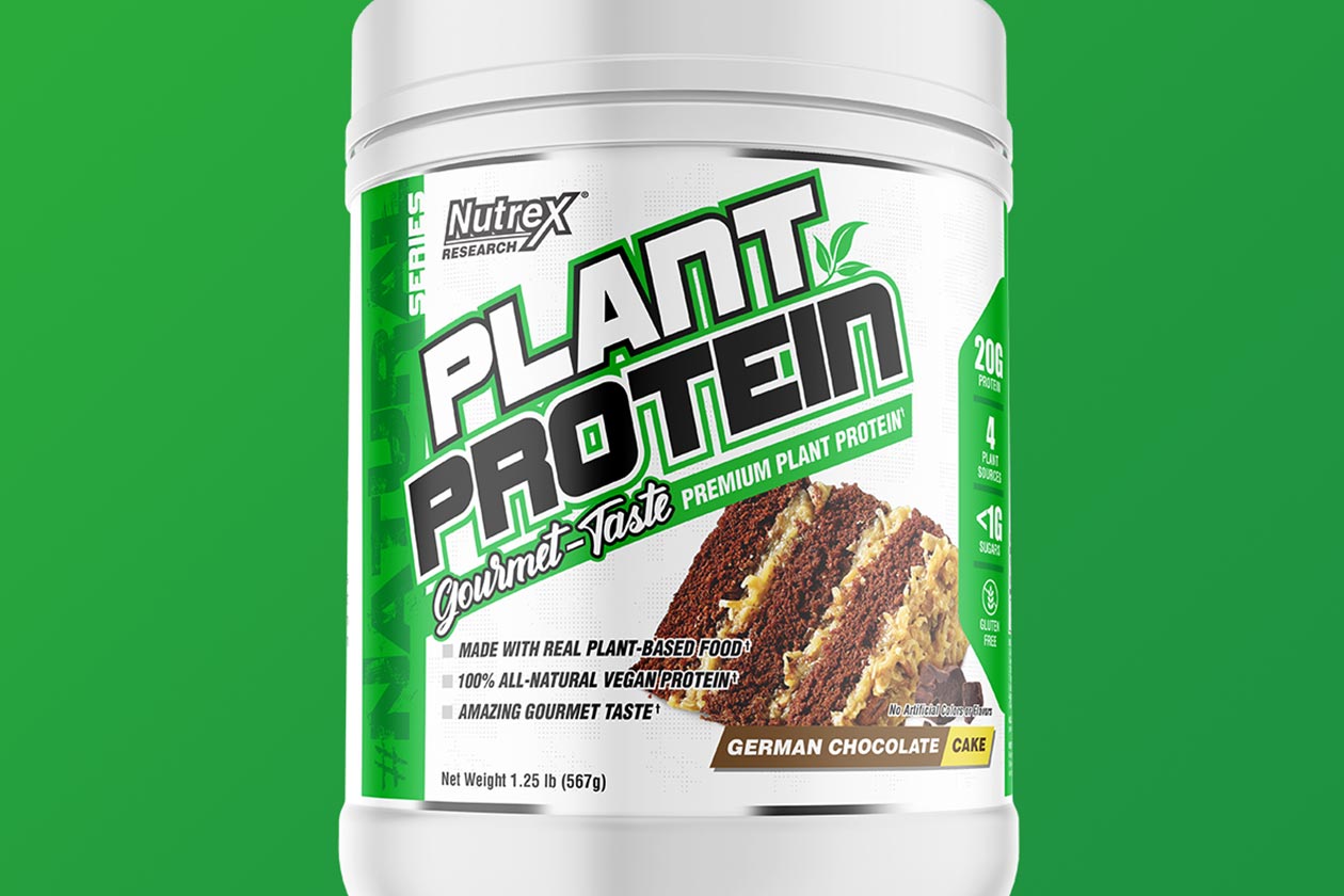 nutrex plant protein