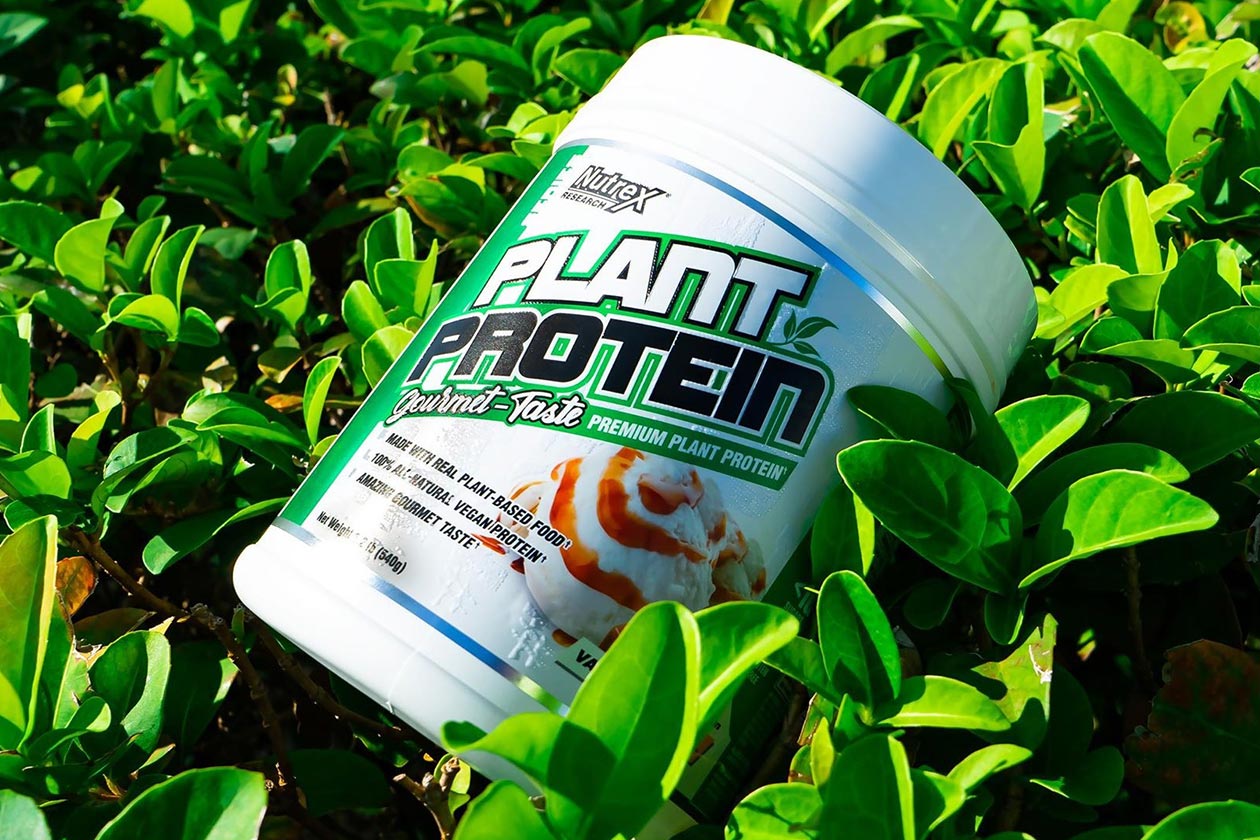 nutrex plant protein giveaway