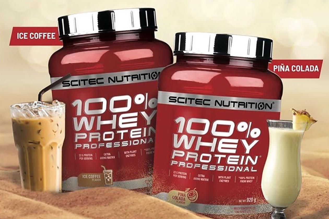 ice coffee scitec whey