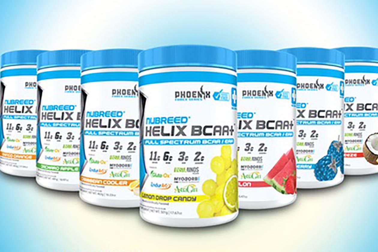 nubreed helix bcaa