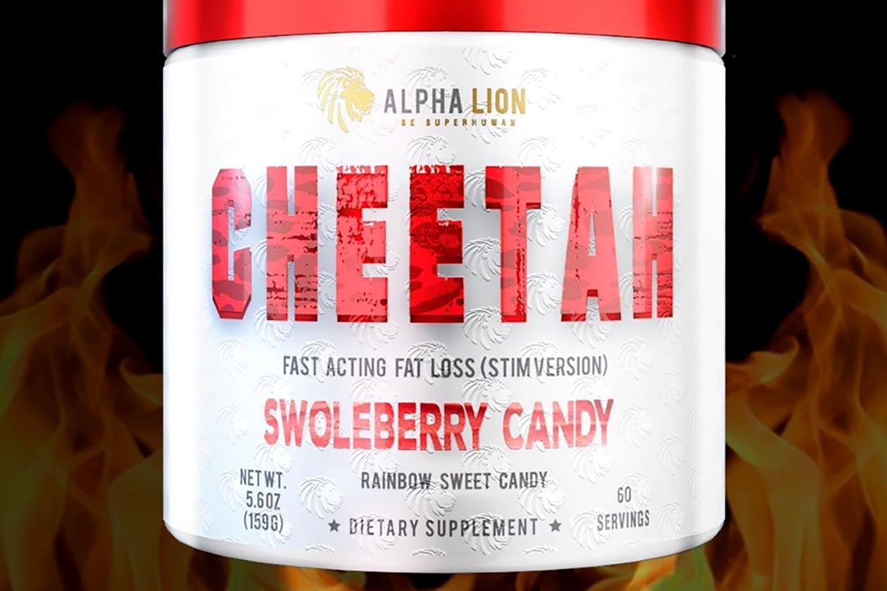 alpha lion cheetah swoleberry candy launch