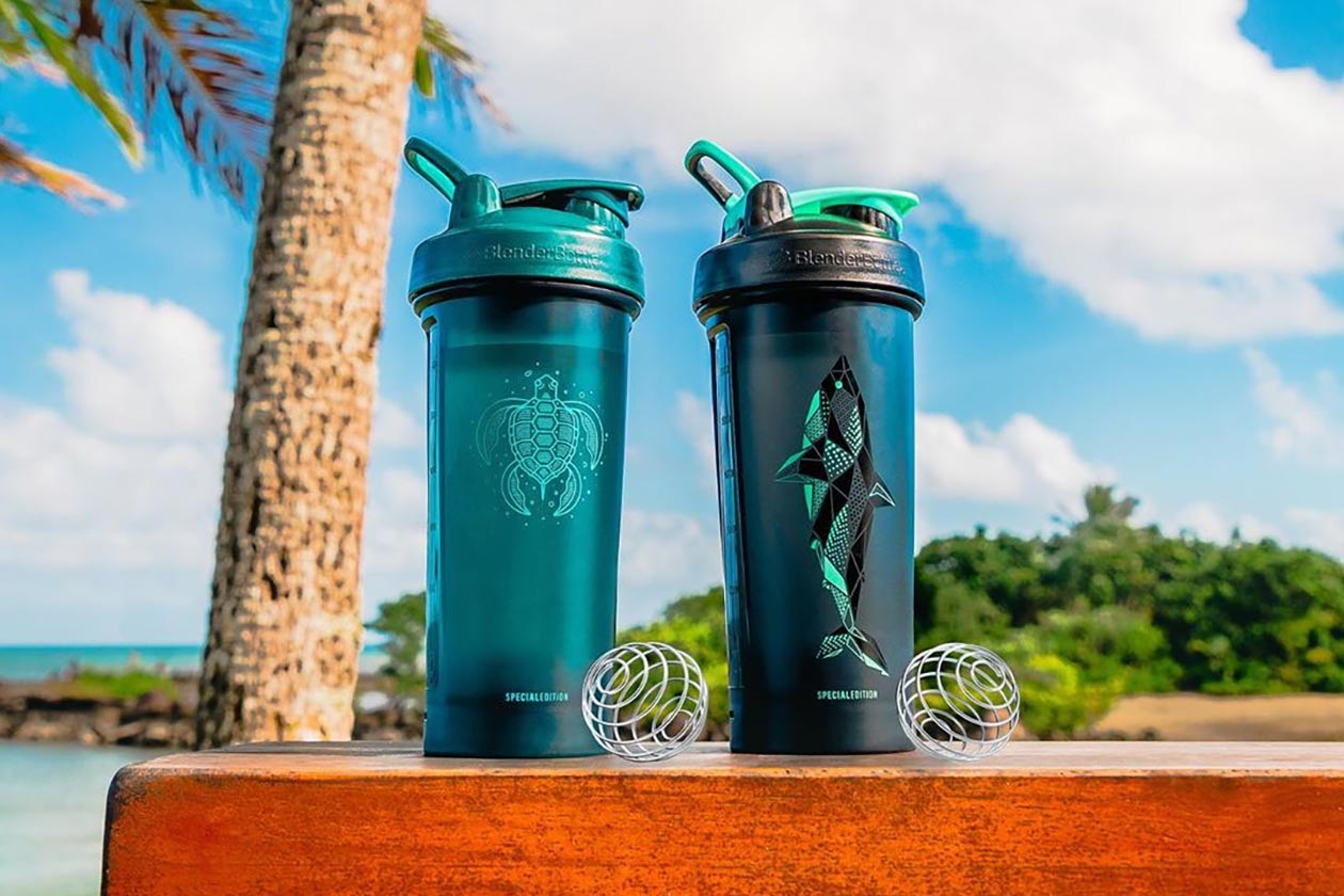 blenderbottle sea turtle shark special edition shakers