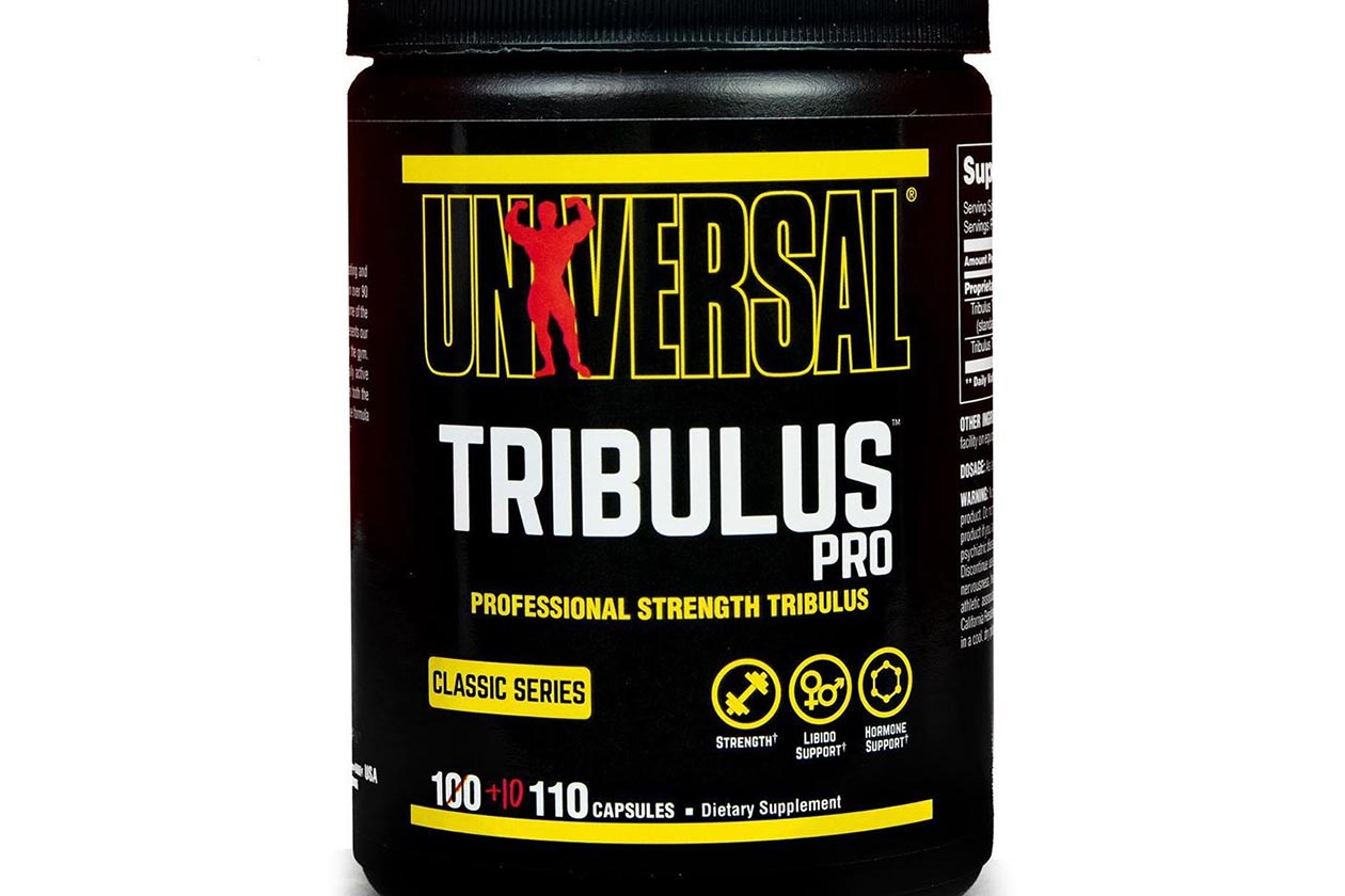 universal nutrition rebrand