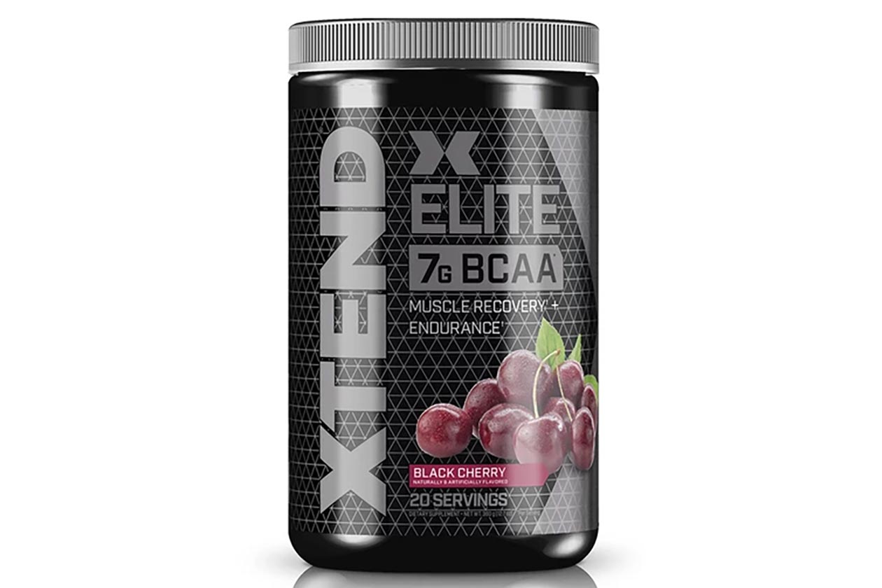 black cherry xtend elite