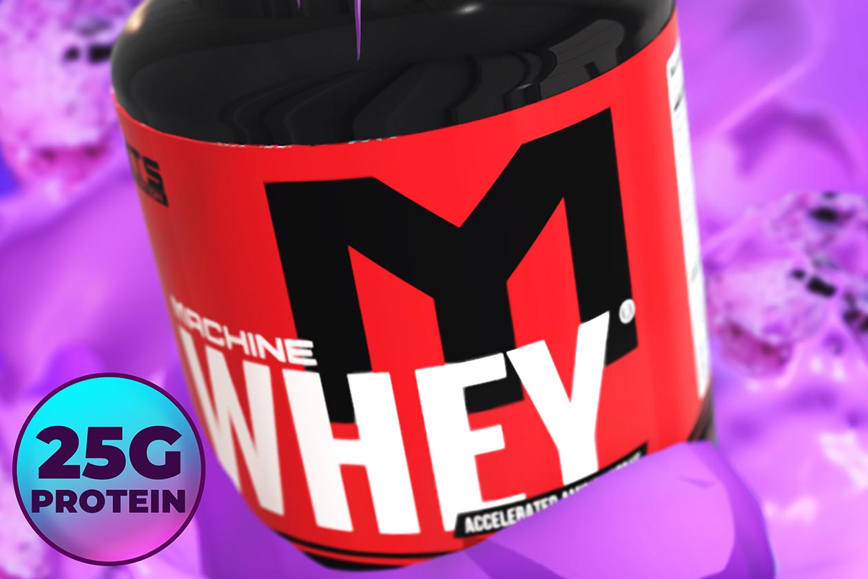 black raspberry chocolate chip machine whey